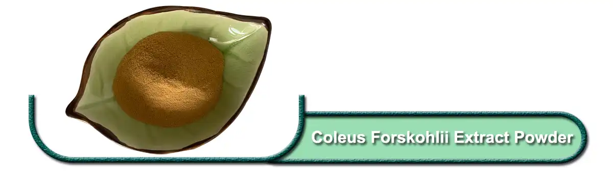 Coleus Forskohlii Extract.jpg